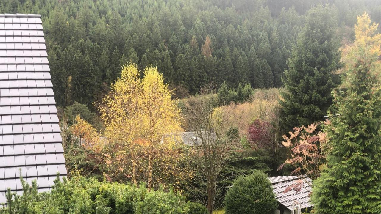 Fewo Berg Idyllika Виллинген Экстерьер фото