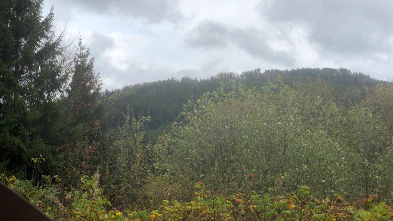 Fewo Berg Idyllika Виллинген Экстерьер фото